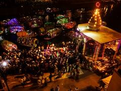 'Can't Sleep, Having Nightmares': Thieves Return 14 Idols Stolen From Balaji Temple