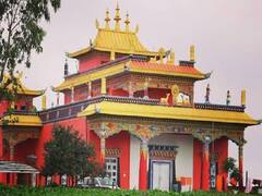 Buddha Purnima पर दलाई लामा ने लोगों को दिया संदेश, देखें तस्वीरें