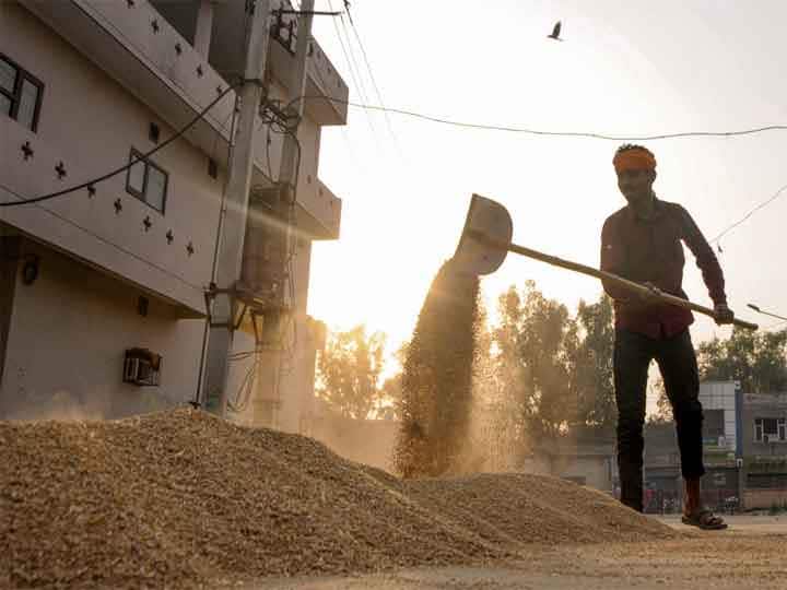 Wheat Prices Hit Record High after India Restricts Exports Check Details Wheat Price Hike: भारत ने निर्यात किया बंद तो गेहूं के दाम ने तोड़े सभी रिकॉर्ड, जानें क्या है कीमत?