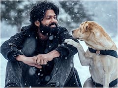 777 Charlie Telugu Trailer: ఓ మనిషి జీవితాన్ని కుక్క ఎలా మార్చింది? - 'చార్లి' ట్రైలర్ చూశారా?