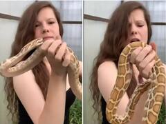 Viral Video : सापासोबत मस्ती करणं तरुणीला पडलं महाग,  धक्कादायक व्हिडीओत पुढे काय झालं पाहा