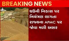 ઘઉની નિકાસ પર પ્રતિબંધ લાગતા જ ભાવમાં મોટો ઘટાડો