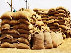 गेहूं निर्यात पर प्रतिबंध से Madhya Pradesh के कारोबारियों के 5 हजार ट्रक बंदरगाहों पर अटके, जानें बड़ी बात