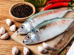 Fish Benefits: मछली के सेवन से दिमाग होता है तेज, रोजाना खाने से इन परेशानियों से मिलेगा छुटकारा