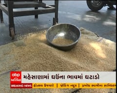 ઘઉંની નિકાસ પર નિયંત્રણ લગતા APMCમાં હરાજીના ભાવ ઘટ્યા