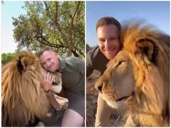 Watch: जंगल के बीच शेर के साथ खेलता दिखा शख्स, दोनों की दोस्ती ने यूजर्स को किया हैरान