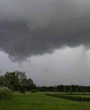 कोकण किनारपट्टीसह राज्यातील 9 जिल्ह्यांना 'यलो अलर्ट'