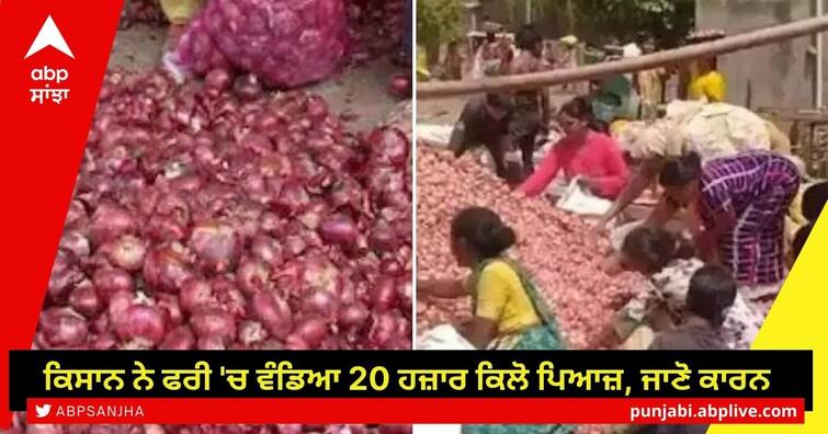 Farmer distributed 200 quintals of onions for free, people carried sacks full, know the reason here ਕਰਜ਼ੇ 'ਚ ਡੁੱਬੇ ਕਿਸਾਨ ਨੇ 20 ਹਜ਼ਾਰ ਕਿਲੋ ਪਿਆਜ਼ ਮੁਫ਼ਤ 'ਚ ਵੰਡਿਆ, ਜਾਣੋ ਕਾਰਨ