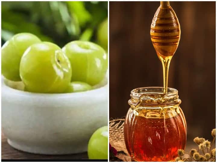 Amla And Honey Benefits In Hindi Gooseberry With Honey For Health Health Tips: आवला पाउडर में शहद मिलाकर रोज खाएं, नहीं पड़ेंगे बीमार