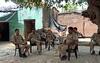 Bareilly News: बरेली के गांव में है पुलिस का सख्त पहरा, बीजेपी समर्थक परिवार को मिल रही जान से मारने की धमकी