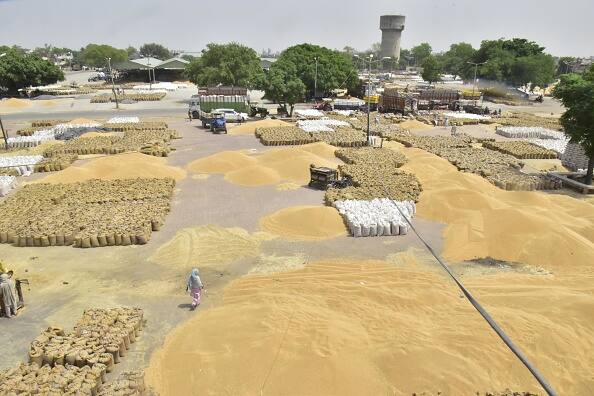 Wheat Prices Hit Record High after India Restricts Exports Check Details Wheat Prices Soar To Record High After India Export Ban