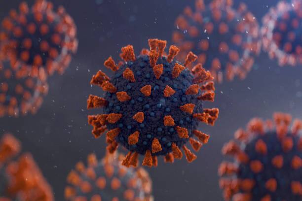 Research Claims Covid Infection Can Increase The Risk Of Parkinsons Research Claims Covid Infection Can Increase The Risk Of Parkinsons