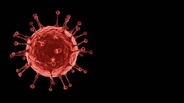 Maharashtra Corona Update Coronavirus new 1045 cases found today and 1 death Maharashtra Corona Update : कोरोनाच्या रुग्णसंख्येचा आलेख वाढतोय, सलग दुसऱ्या दिवशी रुग्णसंख्या हजारावर, आज 1045 नव्या रुग्णांची नोंद