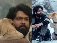 777 Charlie trailer Out : प्रत्येक श्वान प्रेमीनं आवर्जून बघावा असा चित्रपट; '777 चार्ली' चा ट्रेलर रिलीज