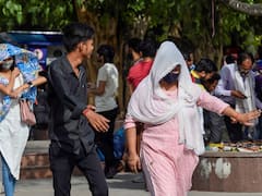 Heat Wave In Delhi: दिल्ली में रिकॉर्ड तोड़ गर्मी, 49 डिग्री तापमान के बाद कैसा है दिल्ली समेत अन्य राज्यों का हाल