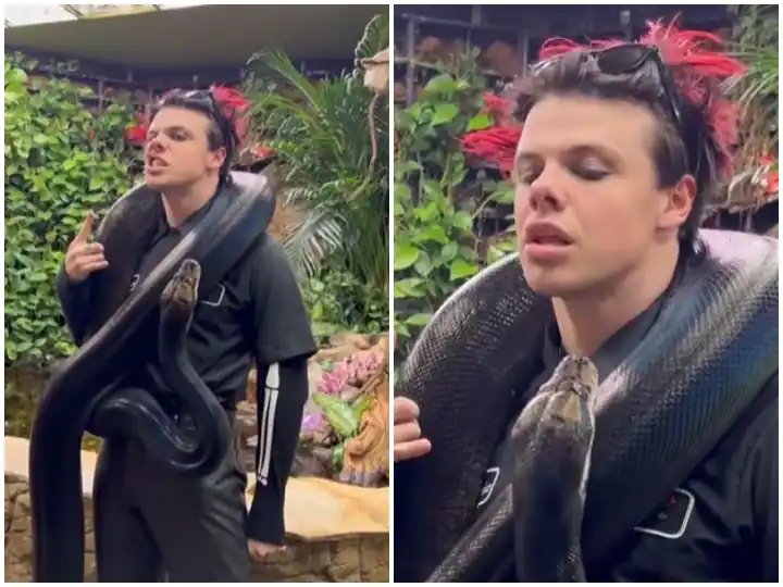 Viral Video: Man posing with Black python frightened suddenly video ...