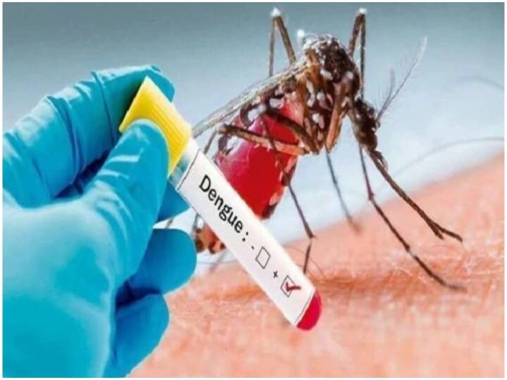 Mumbai Dengue Update: Dengue cases increasing rapidly in Mumbai, cases doubled in June this year Mumbai Dengue Update: मुंबई में कोरोना के साथ कहर बरपा रहा डेंगू, पिछले साल के मुकाबले इस साल जून में दोगुने हुए केस