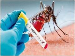 Mumbai Dengue Update: मुंबई में कोरोना के साथ कहर बरपा रहा डेंगू, पिछले साल के मुकाबले इस साल जून में दोगुने हुए केस