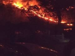 Jammu Kashmir : ਜੰਮੂ ਕਸ਼ਮੀਰ ਦੇ ਕਈ ਜੰਗਲੀ ਵਣਾਂ 'ਚ ਲੱਗੀ ਭਿਆਨਕ ਅੱਗ, ਅੱਗ ਬੁਝਾਉਣ ਲਈ ਮੋਰਚੇ 'ਤੇ ਤਾਇਨਾਤ ਫਾਇਰ ਬ੍ਰਿਗੇਡ