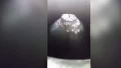 ज्ञानवापी के तालाब में शिवलिंग होने के दावे का नया वीडियो आया सामने | Namaste Bharat