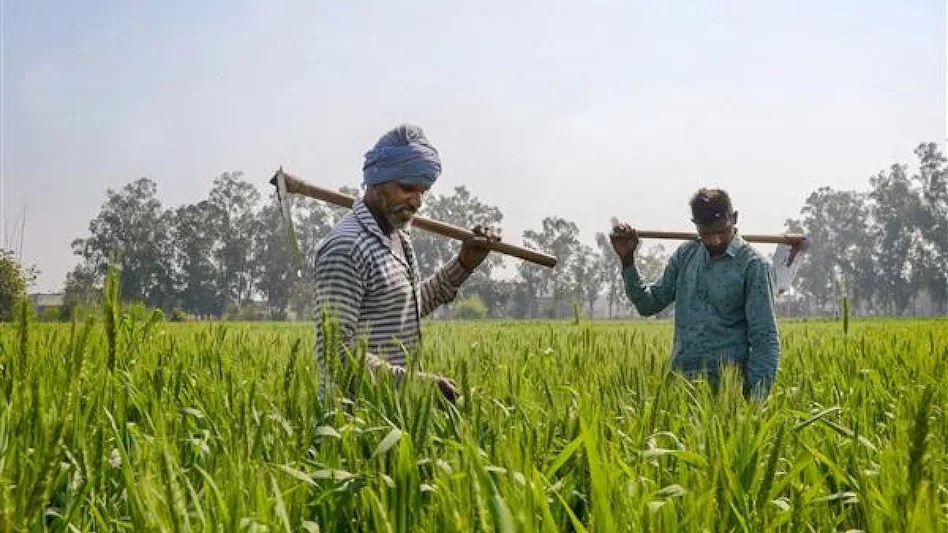 Agriculture Schemes: દરેક ખેડૂતે લેવો જોઈએ આ 5 કૃષિ યોજનાનો લાભ, થશે અઢળક ફાયદા