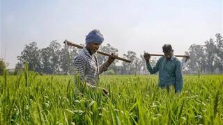 PM Kisan eKYC: ઘરે બેઠા કેવી કરી કરશો પીએમ કિસાન નિધિ ઈ-કેવાયસી ? જાણો સ્ટેપ બાય સ્ટેપ પ્રોસેસ