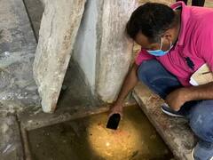 Delhi News: दिल्ली के कई इलाकों में एडीज मच्छर का प्रजनन, 14 सरकारी दफ्तरों को जारी हुए लीगल नोटिस