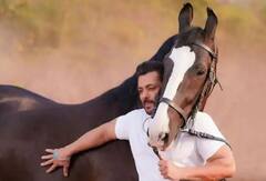 Salman Khan Income: વૈભવી જીવન જીવતા સલમાન ખાનની એક મહિનાની કમાણી જાણીને દંગ રહી જશો...