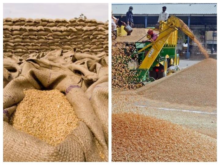 India exported 66.41 lakh tonnes of wheat in the first 11 months of financial year 2021-22 Explainer: भारत दुनिया को कितना लाख टन गेंहू करता है निर्यात? भारतीय गेहूं के ये हैं बड़े खरीदार