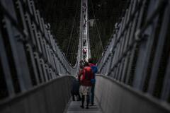 IN PICS | 'Sky High': World's Longest Pedestrian Suspension Bridge Opens In Czech Republic
