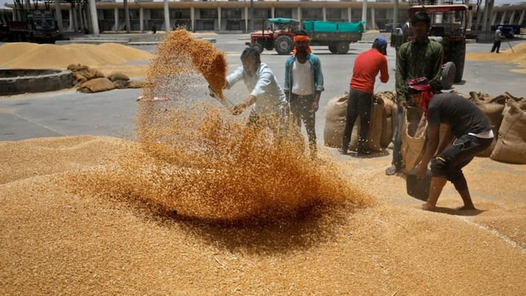No wheat shortage in India, ban imposed to check rampant export: Tomar Wheat Production in India: 'গমের সঙ্কট নেই, লাগামছাড়া রফতানি রুখতে নিষেধাজ্ঞা', দাবি কেন্দ্রীয় কৃষিমন্ত্রীর