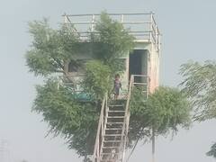 Tree House: बाड़मेर में इस शख्स ने बनाया पेड़ पर सपनों का आशियाना, देखिए इस लग्जरी ट्री हाउस की तस्वीरें