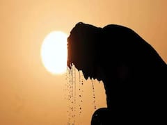 UP: भीषण गर्मी से झुलसा बुंदेलखंड, 48 डिग्री सेल्सियस के पार पहुंचा तापमान, लू के थपेड़ों ने किया परेशान