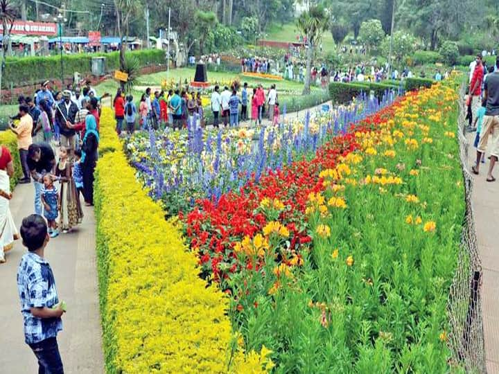 Kodaikanal Flower Exhibition will be held for ten days starting on 24 May கொடைக்கானல் :  மே 24-ஆம் தேதி தொடங்கி நடைபெற இருக்கிறது மலர் கண்காட்சி..