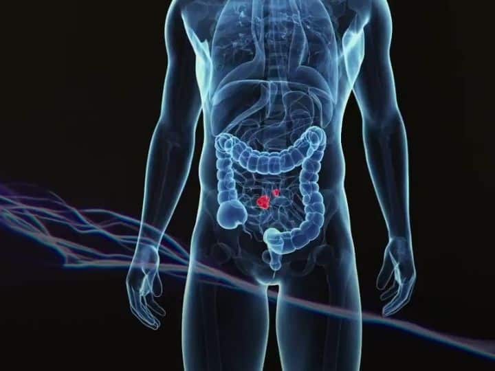 Digestion: पाचन शक्ति बढ़ाने के आसान आयुर्वेदिक तरीके, सुबह आसानी से साफ होगा पेट Digestion: improve your digestion with easy ayurvedic and diy tips Digestion: पाचन शक्ति बढ़ाने के आसान आयुर्वेदिक तरीके, सुबह आसानी से साफ होगा पेट