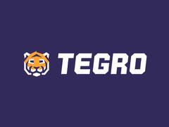 Tegro Web3 Marketplace Announces $1-Million Grant For Game Developers, Proposes FTs As Core Element Of Economy Design