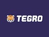 Tegro Web3 Marketplace Announces $1-Million Grant For Game Developers, Proposes FTs As Core Element Of Economy Design