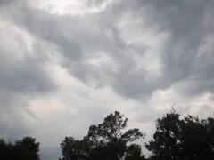 Bastar Weather News: बस्तर में बदला मौसम का मिजाज, बारिश से मौसम हुआ सुहाना, भीषण गर्मी से लोगों को मिली राहत