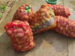 Moradabad News: तेज आंधी की वजह से आम की फसल हुई बर्बाद, दुखी किसान बोले- अब कुछ नहीं होगा