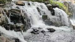 கனமழை எதிரொலி; தமிழக எல்லைப்பகுதியில் இருக்கும் பிலிகுண்டுலு நீர்வரத்து அதிகரிப்பு..