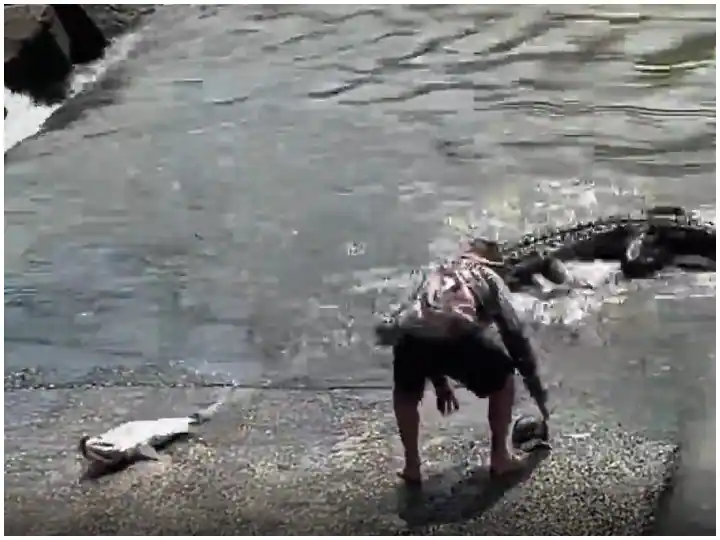 Viral Video: ਮਛਲੀ ਦੇ ਪਿੱਛੇ ਹੀ ਮਗਰਮੱਛ ਵੀ ਆਇਆ ਪਾਣੀ ਤੋਂ ਬਾਹਰ, ਹੈਰਾਨ ਕਰ ਦੇਵੇਗਾ ਵੀਡੀਓ