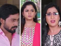 Guppedantha Manasu మే 17 ఎపిసోడ్: వసుధారను రిషి ప్రేమించడం లేదా? సాక్షితో అలా అనేశాడేంటీ?