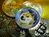 'Crypto Is 95 Percent Scam And Garbage': Dogecoin Creator's Tweet Leaves Elon Musk In Splits