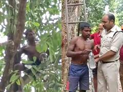 Chhattisgarh में शराब और पैसे के लिए पेड़ पर चढ़ा युवक, घंटो चले इस ड्रामे को रोकने के लिए बुलानी पड़ी पुलिस, देखें तस्वीरें