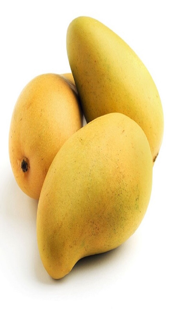 பய்ரி