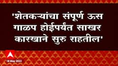 Sugarcane : ऊस गाळप होईपर्यंत साखर कारखाने सुरु ठेवा, मुख्यमंत्री उद्धव ठाकरेंच्या सूचना