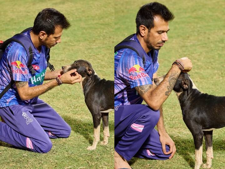 Yuzvendra Chahal shows his 'puppy love' with street dog during RR practice Yuzvendra Chahal : குட்டி நாயுடன் கெட்டியாக ஒட்டிக்கொண்ட சாஹல்... ட்விட்டரில் காதலை கொண்டாடிய தருணம்!