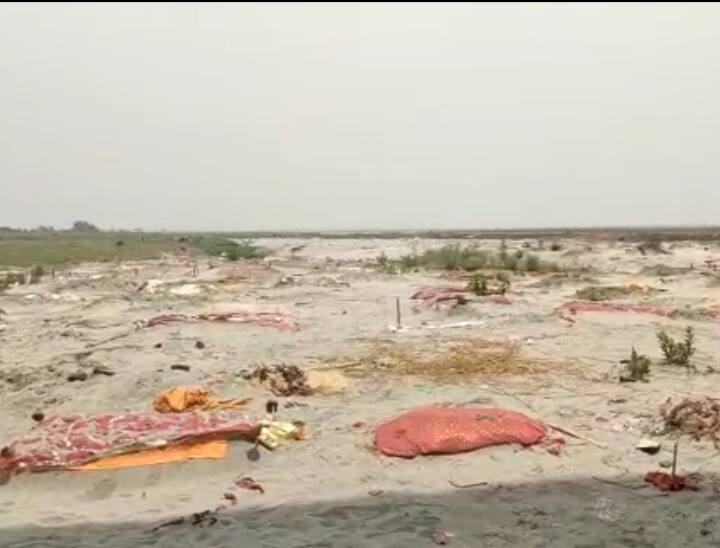 a large number of dead bodies are being buried in the sand on banks of river Ganga in Prayagraj ann UP News: प्रयागराज में गंगा नदी के किनारे कोरोनाकाल जैसे हाल, रेत में बड़ी तादाद में दफनाए जा रहे हैं शव