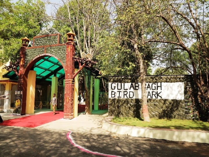 Udaipur में शुरू हुआ Bird Park, पर्यटक 25 रुपए की टिकट में देख पाएंगे 28 से ज्यादा प्रजातियों के परिंदे Bird park started in Udaipur, tourists will be able to see more than 28 species of birds in a ticket of Rs 25 ann Udaipur में शुरू हुआ Bird Park, पर्यटक 25 रुपए की टिकट में देख पाएंगे 28 से ज्यादा प्रजातियों के परिंदे