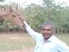 Chhattisgarh: आवर्ती चराई योजना में लापरवाही पड़ी भारी, DFO के बाद अब रेंजर पर गिरी गाज